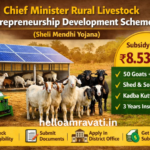 Chief Minister Rural Livestock Entrepreneurship Development Scheme